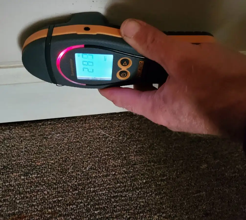 Moisture detection at baseboard during Mold Inspection & Testing in Richland